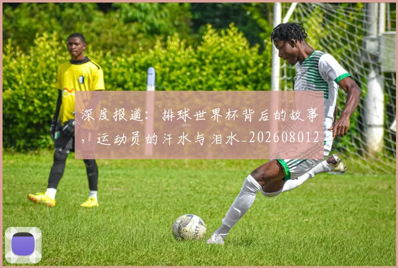 深度报道:排球世界杯背后的故事,运动员的汗水与泪水_20260801203300