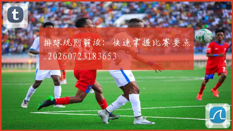 排球规则解读：快速掌握比赛要点_20260723183653