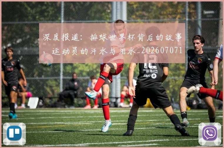 深度报道:排球世界杯背后的故事,运动员的汗水与泪水_20260707154452_20260801203302