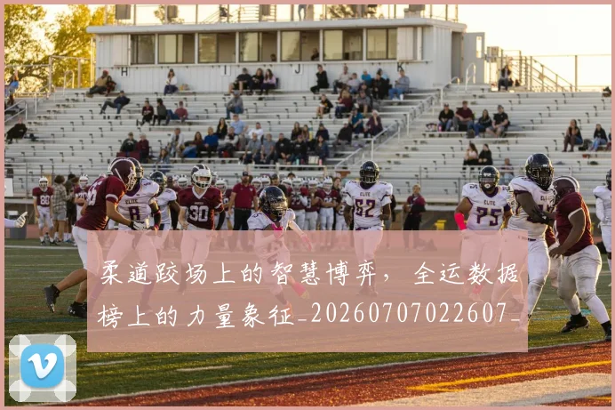 柔道跤场上的智慧博弈，全运数据榜上的力量象征_20260707022607_20260731175822
